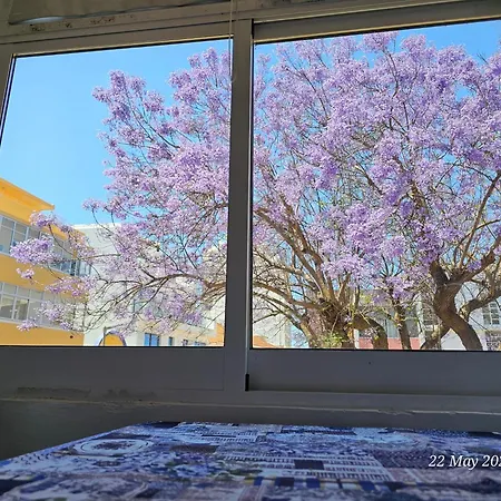 Blife Farensya Private Near Train Station アパート ファロ